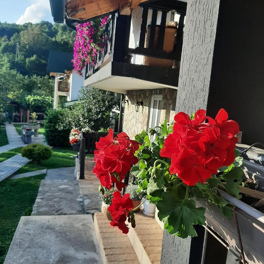 Rooms And Apartmants Mirovic Kolašin Екстериор снимка