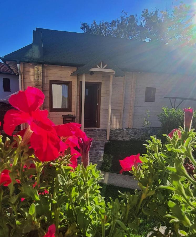 Rooms And Apartmants Mirovic Kolašin Екстериор снимка