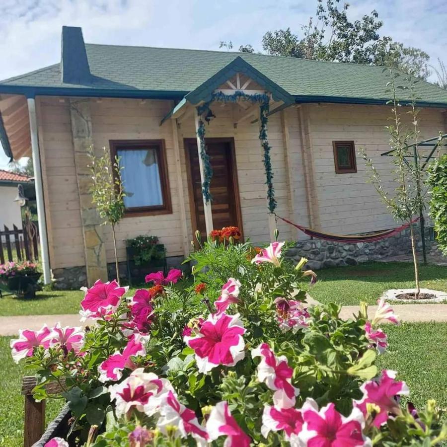 Rooms And Apartmants Mirovic Kolašin Екстериор снимка