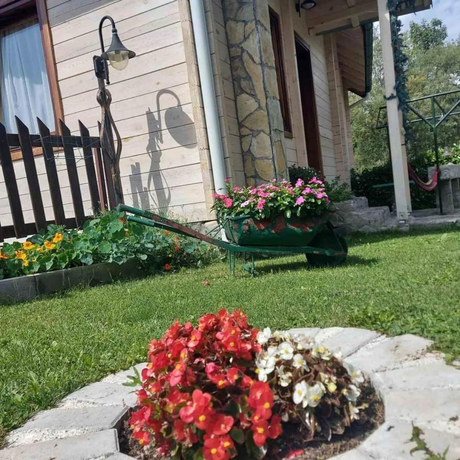 Rooms And Apartmants Mirovic Kolašin Екстериор снимка