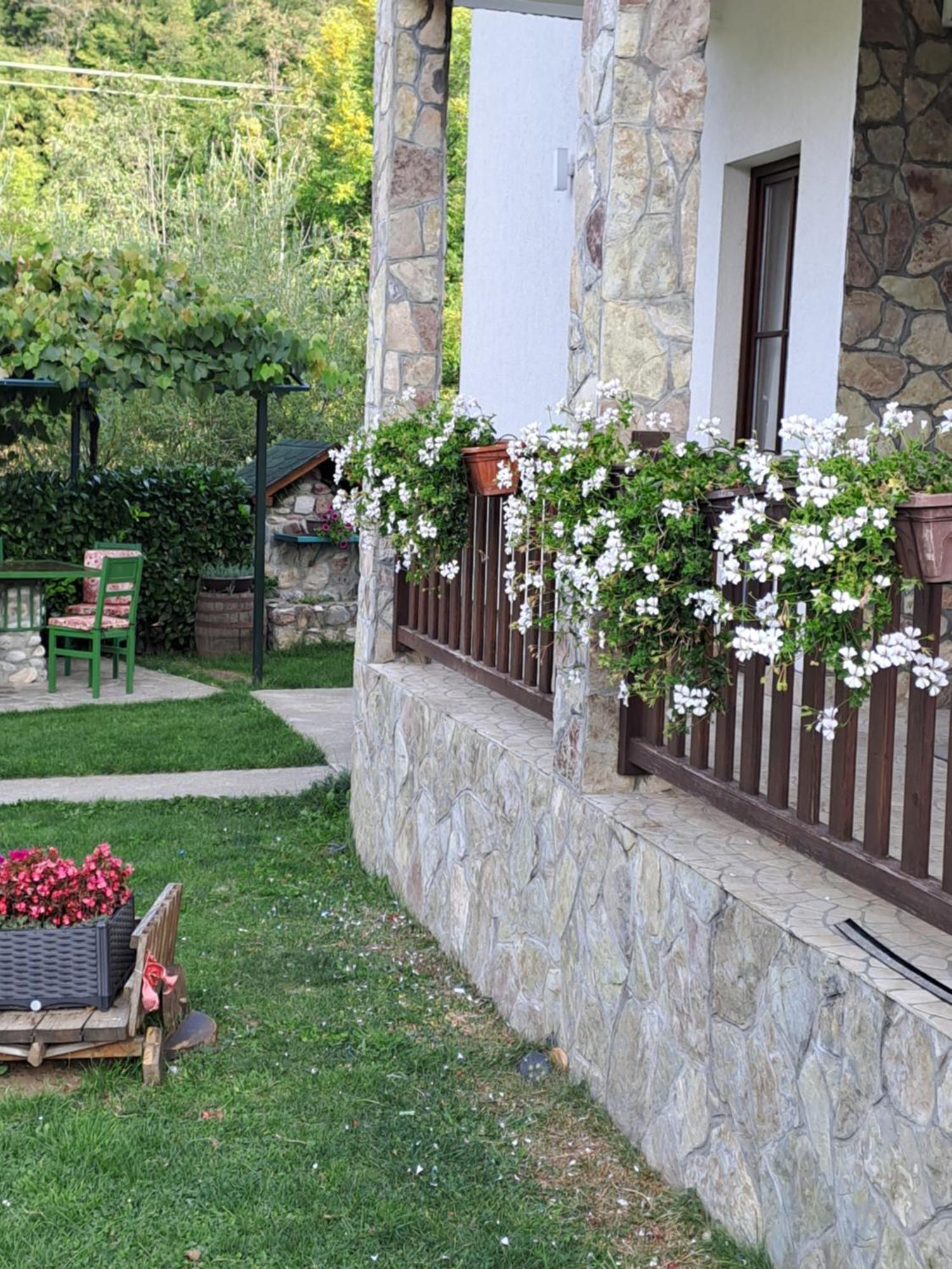 Rooms And Apartmants Mirovic Kolašin Екстериор снимка